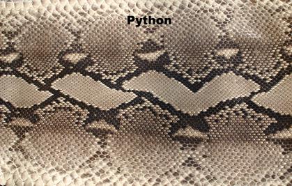 Python In Many Colours
